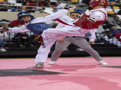 Open2024-130